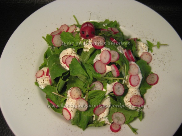 7-salade de feuilles de radis, radis en rondelles et faisselle en sauce épaisse - FILIGRANE